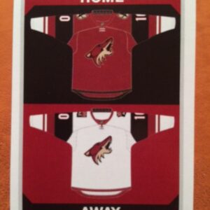 2015 PANINI #248- Uniform