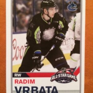 2015 PANINI #465- Radim Vrbata