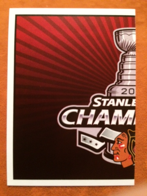2015 PANINI #491- Logo