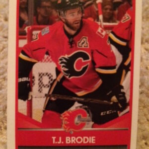 2016 PANINI #263- T.J. Brodie