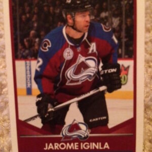 2016 PANINI #295- Jarome Iginla