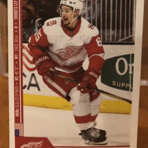 2018 PANINI #81- Danny DeKeyser