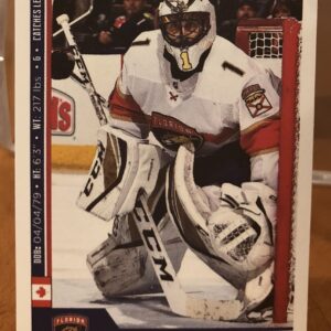 2018 PANINI #95- Roberto Luongo