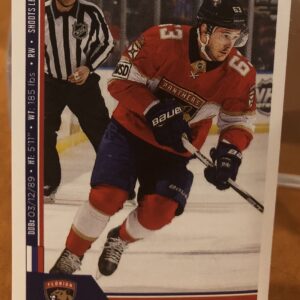 2018 PANINI #104- Evgenii Dadonov