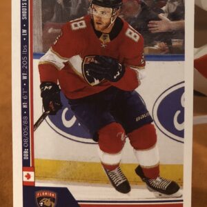 2018 PANINI #106- Jamie McGinn