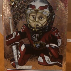 2018 PANINI #173- Craig Anderson