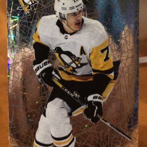 2018 PANINI #204- Evgeni Malkin