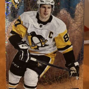 2018 PANINI #206- Sidney Crosby