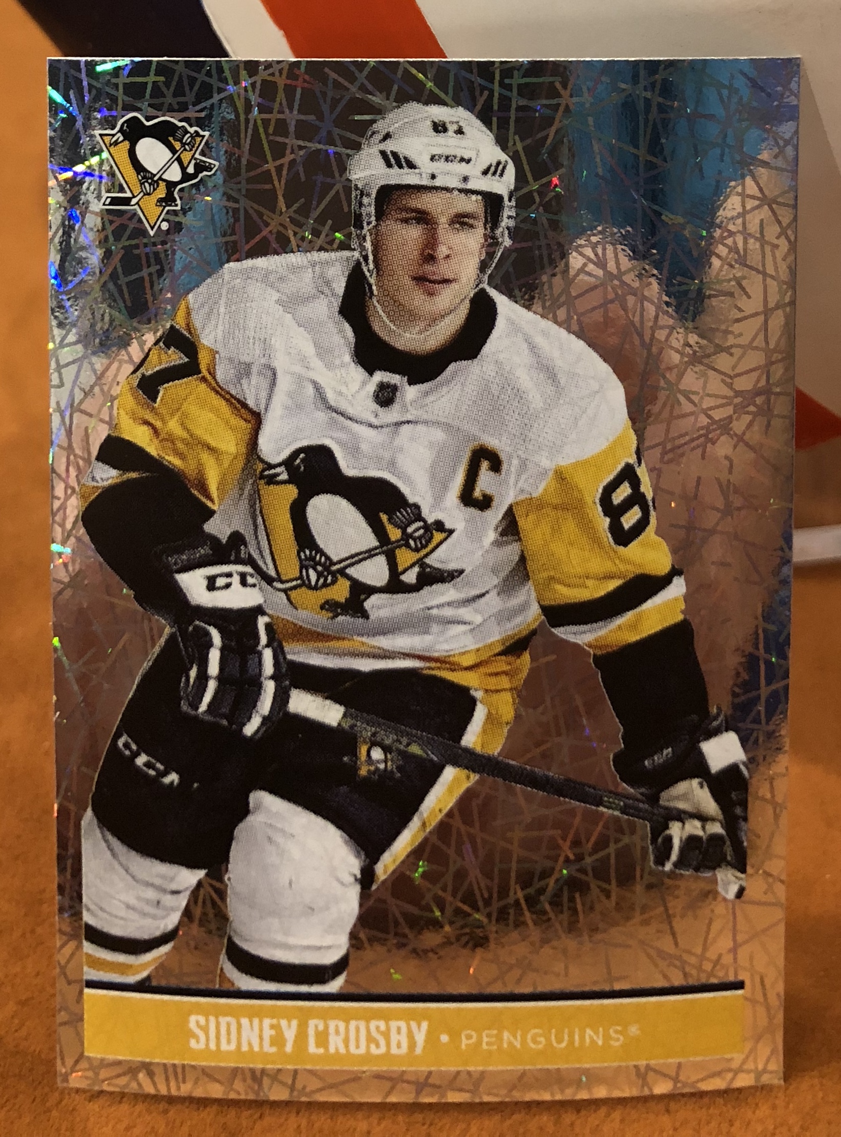 2018 PANINI #206- Sidney Crosby