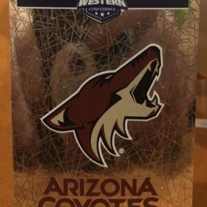 2018 PANINI #283- Logo Arizona Coyotes