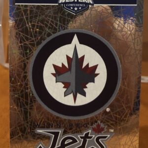2018 PANINI #491- Logo Winnipeg Jets
