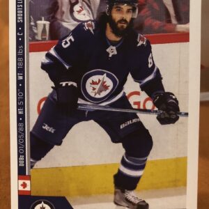 2018 PANINI #503- Mathieu Perreault