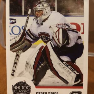 2018 PANINI #507- Carey Price