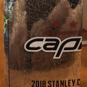 2018 PANINI #565- Stanley Cup Champions Logo