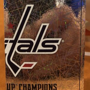 2018 PANINI #566- Stanley Cup Champions Logo