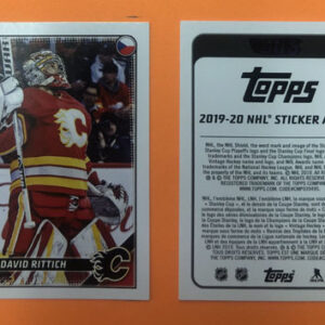 2019 TOPPS #80- David Rittich