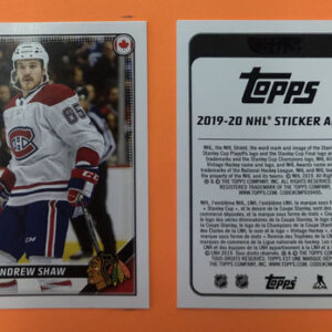 2019 TOPPS #108- Andrew Shaw
