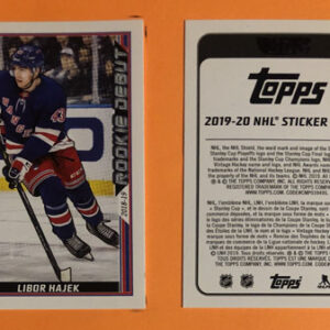 2019 TOPPS #537- Libor Hajek