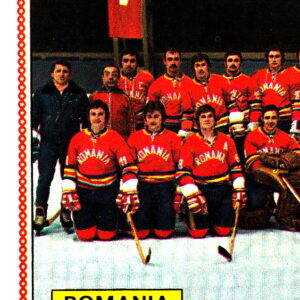 1979 PANINI #310-Team Photo