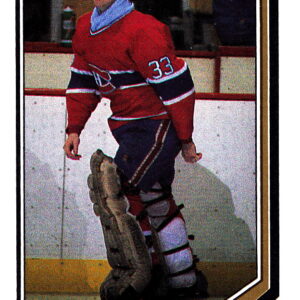1987 O-Pee-Chee #13-Patrick Roy