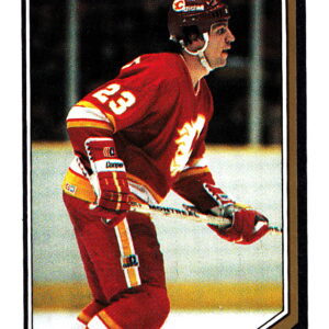 1987 O-Pee-Chee #39-Paul Reinhart