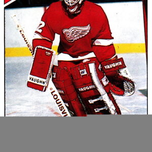 1990 PANINI #212-Tim Cheveldae