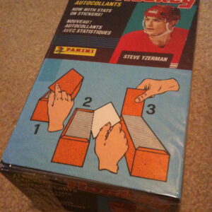 1991 Panini NHL Full Box of 100 Sticker Packages (600 stickers in box) (Never Opened)