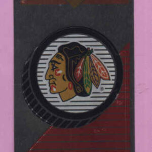 1993 PANINI #145- Logo
