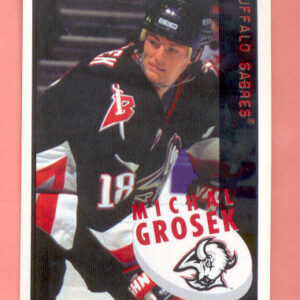 1997 PANINI #17-Michal Grosek