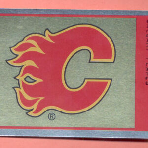 1997 PANINI #196- Flames Logo