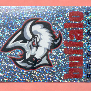 1998 PANINI #15- Sabres Logo