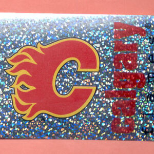 1998 PANINI #175- Flames Logo