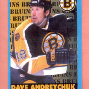 1999 PANINI #24-Dave Andreychuk