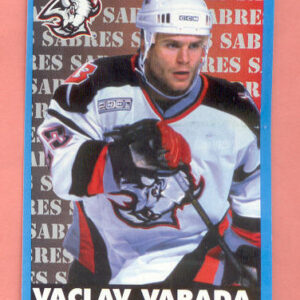 1999 PANINI #41-Vaclav Varada