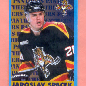 1999 PANINI #57-Jaroslav Spacek