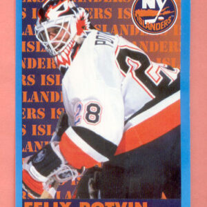 1999 PANINI #91-Felix Potvin