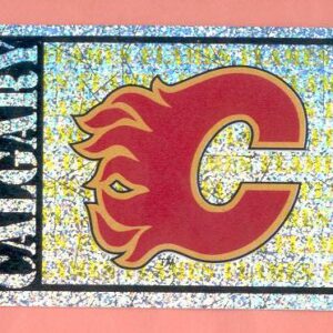 1999 PANINI #185- Flames Logo