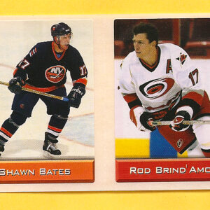 2003 Sports Vault Top Up To 600 Pieces #33-Rod Brind'Amour
