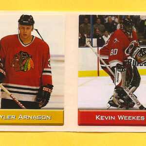 2003 Sports Vault Top Up To 600 Pieces #40-Kevin Weekes