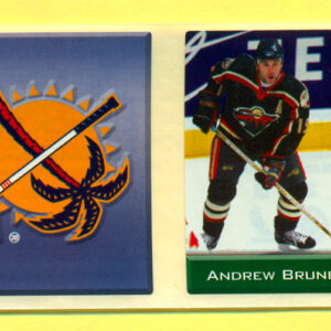 2003 Sports Vault Top Up To 600 Pieces #243-Andrew Brunette