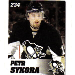 2008 Power Play Toys R Us #234-Petr Sykora