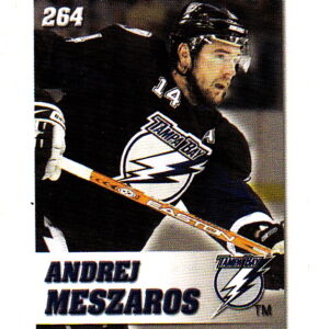2008 Power Play Toys R Us #264-Andrej Meszaros