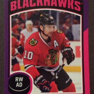 2014 O-Pee-Chee #40- Patrick Sharp