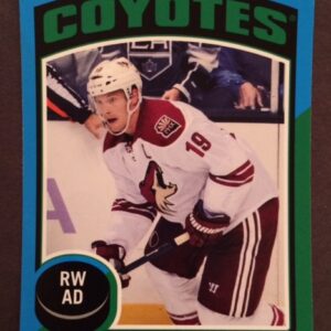 2014 O-Pee-Chee #62- Shane Doan