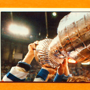 1987 PANINI #197-Wayne Gretzky