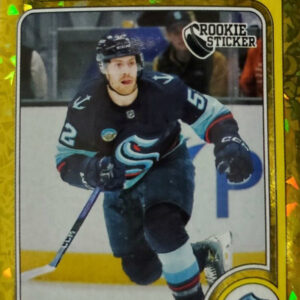 2024-25 Gold #'d Parallel Insert out of 1