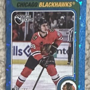 2024-25 Blue #'d Parallel Insert out of 100