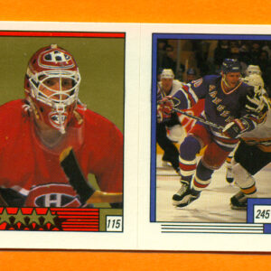 1988 O-Pee-Chee #115-Patrick Roy
