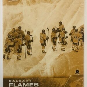 2020 PLAYOFFS TOPPS NOW Day 10 #SCP-60G Gold (picture proof) - Calgary Flames 2 est (1 of 8)