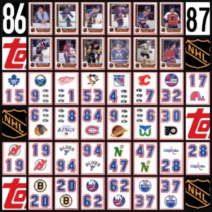 1986 Topps NHL Hockey Master Sticker Set of 40